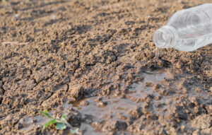 une bouteille d'eau se vide sur un sol aride