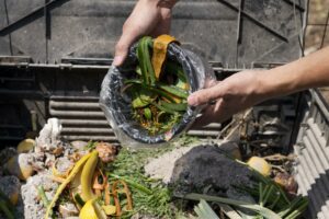 une personne vide sa poubelle dans un bac à compost