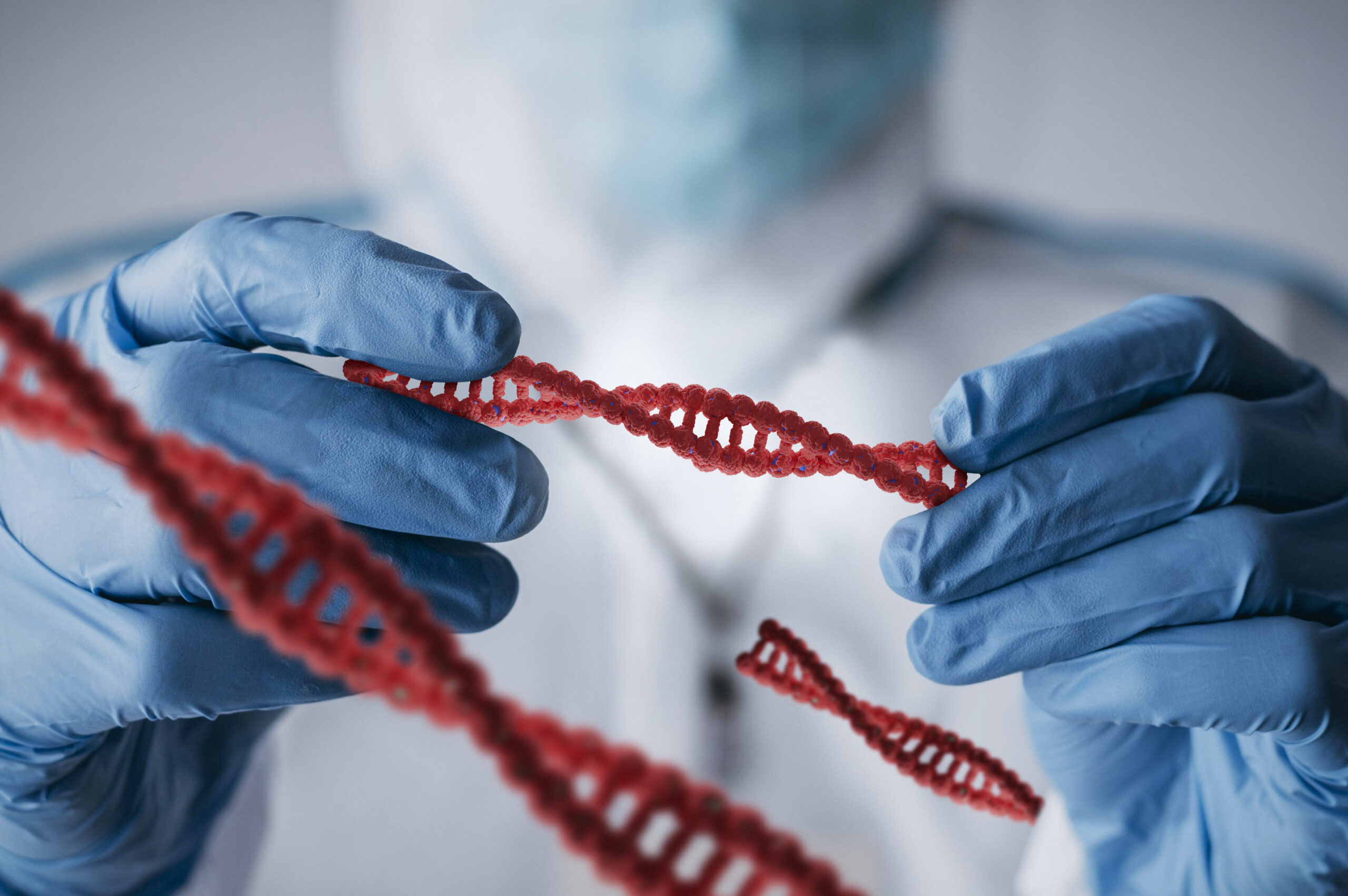 un scientifique tient des elements biologique rouges dans ses gants bleus